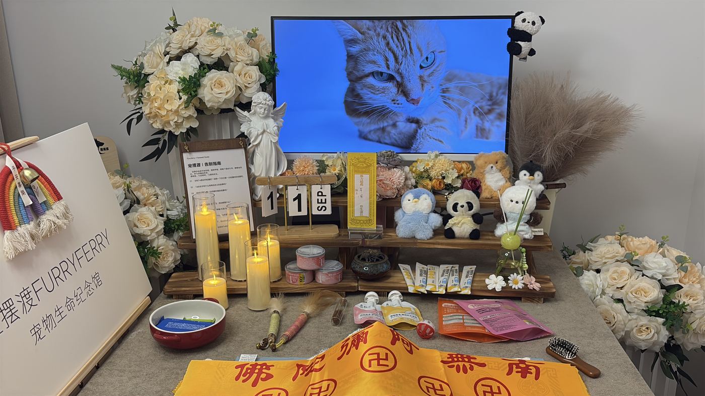 考察机构的第一件事