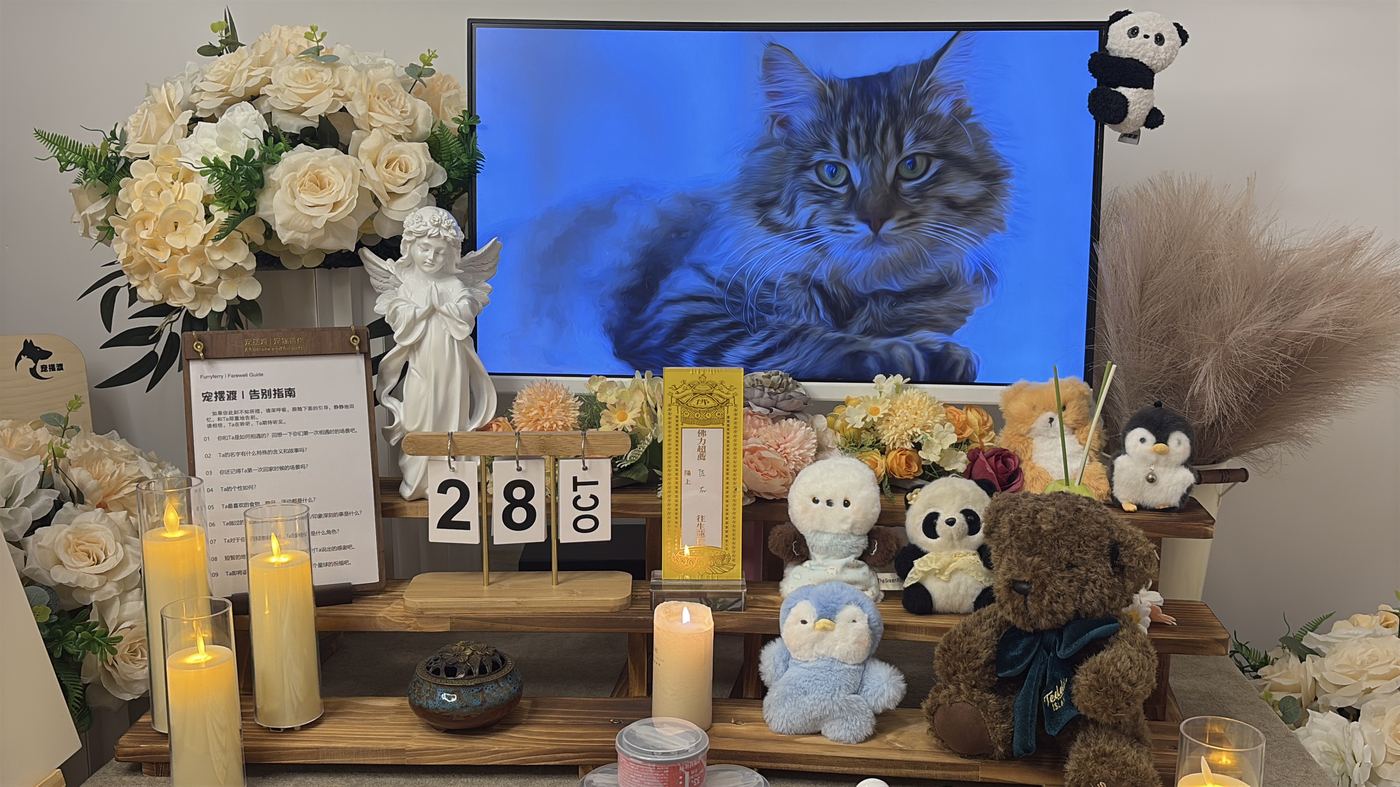 如何面对宠物离世的悲伤？写给滁州养宠人的心理支持
