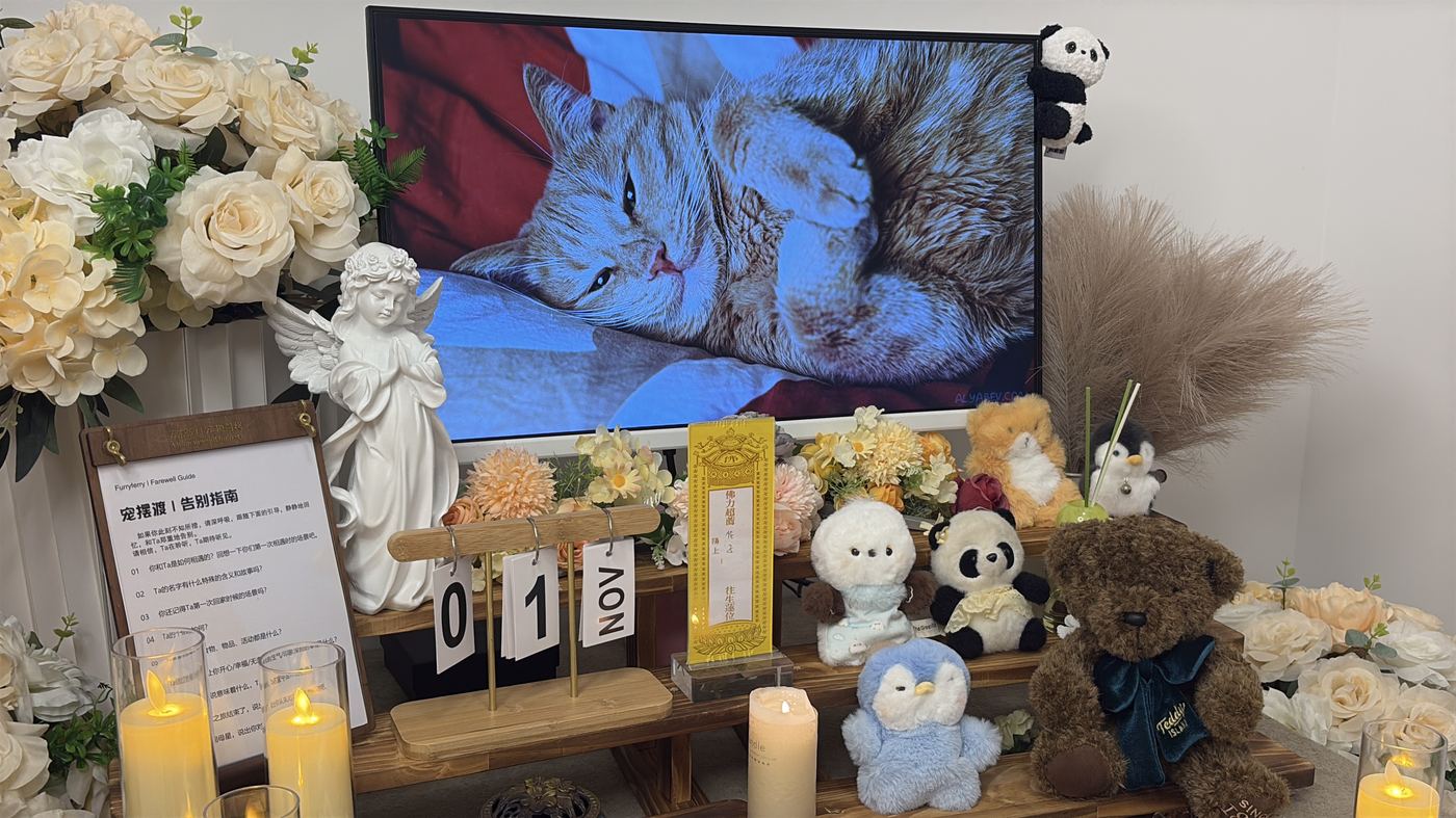 不同体型宠物的费用差异